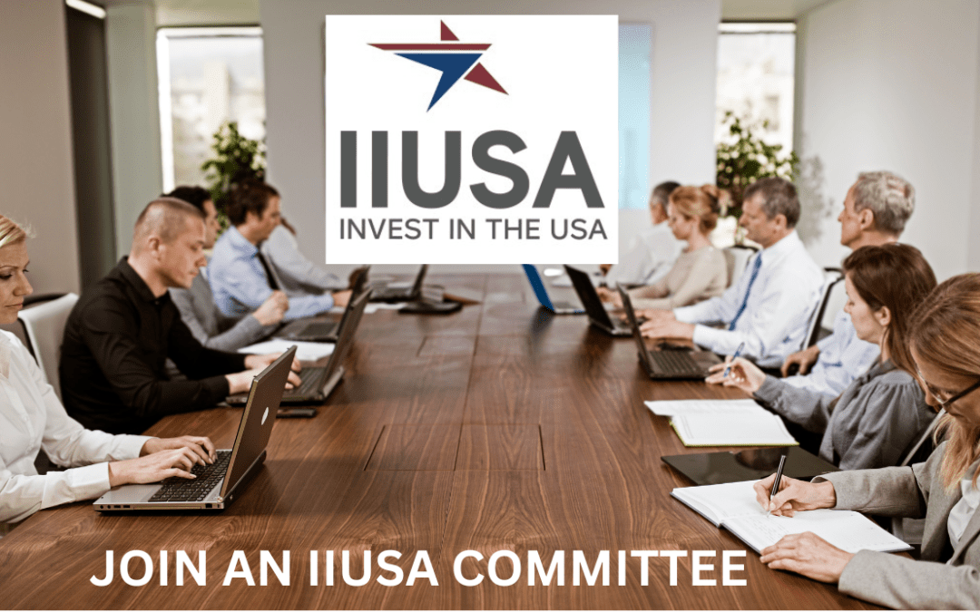 Get Involved with IIUSA: Join One of Our Committees Today!